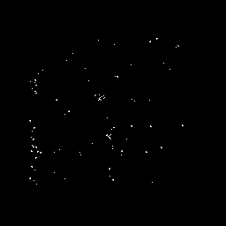 顺极指纹开发包处理的指纹样本